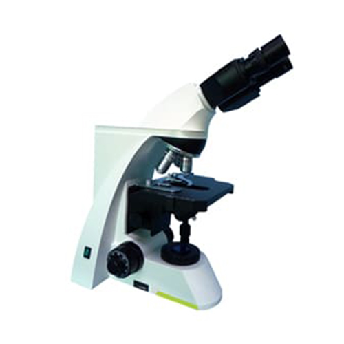 Binocular Microscope